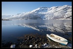 Hardangerfjorden II